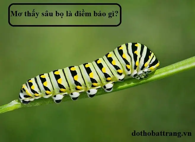 Nằm Mơ Thấy Sâu Hên Hay Xui: Giải Mã Chi Tiết Điềm Báo
