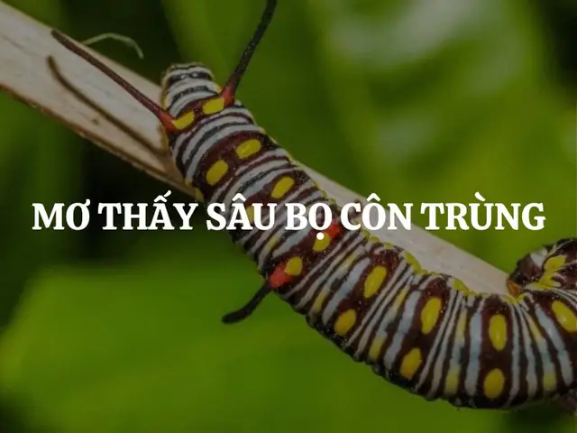 Mơ Thấy Sâu Bọ Côn Trùng Là Điềm Lành Hay Dữ? Giải Mã Chi Tiết Từng ...