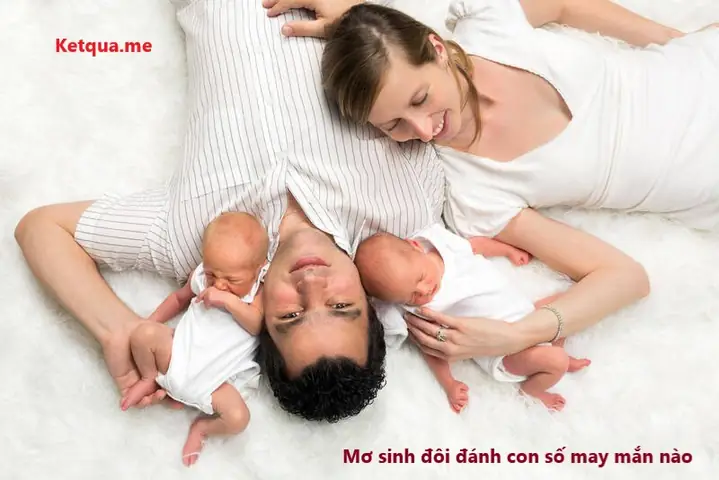 Những Con Số Tương Ứng Với Giấc Mơ Sinh Đôi