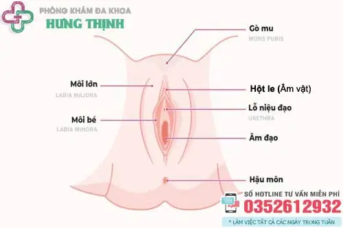 Nằm Mơ Thấy Sờ Chỗ Kín Đàn Ông: Ý Nghĩa Tâm Lý Và Góc Nhìn Khoa Học