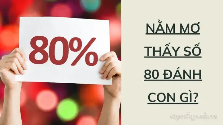 Nằm Mơ Thấy Số 80 Đánh Con Gì?