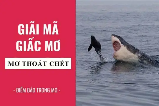 Giải Mã Giấc Mơ: Nằm Mơ Thấy Thoát Chết, Thoát Nạn Điềm Báo Gì ...
