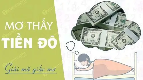 Nằm Mơ Thấy Tiền Đô Đánh Số Mấy? Điềm Báo Gì?