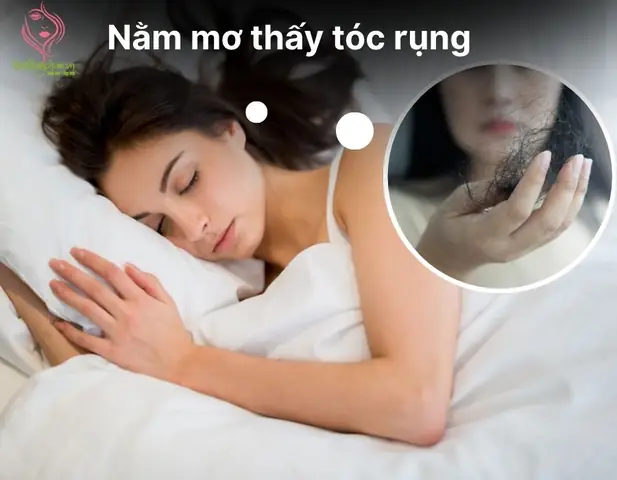 Nằm Mơ Thấy Tóc Rụng Có Điểm Gì? Đánh Số Gì? Nằm Mơ Thấy Tóc Rụng Có Điểm Gì? Đánh Số Gì?