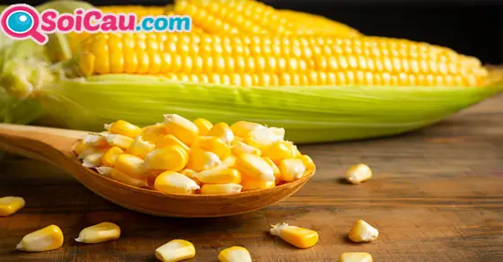- Nằm Mơ Thấy Trồng Ngô - Nằm Mơ Thấy Trồng Ngô