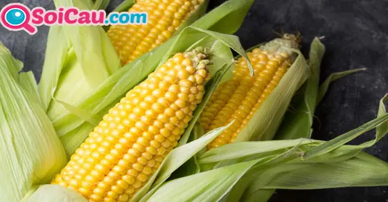 Những Giấc Mơ Thấy Bắp Ngô Khác Những Giấc Mơ Thấy Bắp Ngô Khác