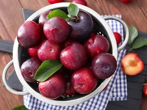Nằm Mơ Thấy Trái Cây Chín Đánh Đề Con Gì? Giải Mã Giấc Mơ Và Gợi Ý Con Số May Mắn