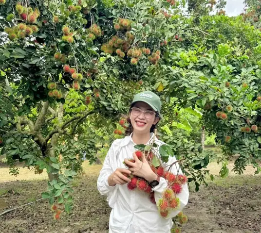 Giải Mã Tổng Quan: Biểu Tượng Của Trái Cây Chín Trong Giấc Mơ
