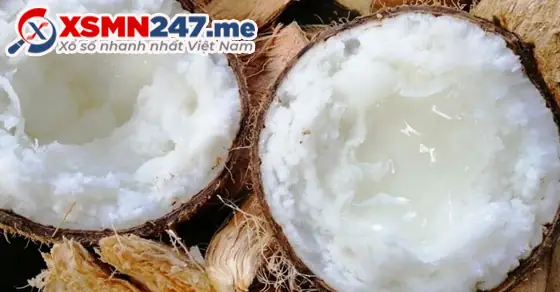 Những Giấc Mơ Thấy Quả Dừa Khác