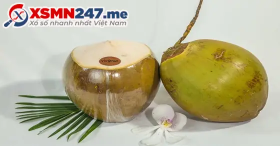 - Ý Nghĩa Giấc Mơ Được Cho Trái Dừa