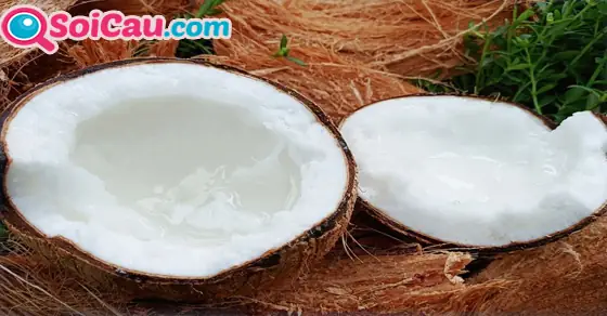 Mơ Thấy Quả Dừa Già