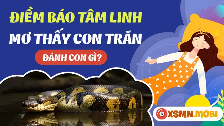Nằm Mơ Thấy Trăn Đánh Số Gì - Chiêm Bao Thấy Trăn Hên Hay Xui?