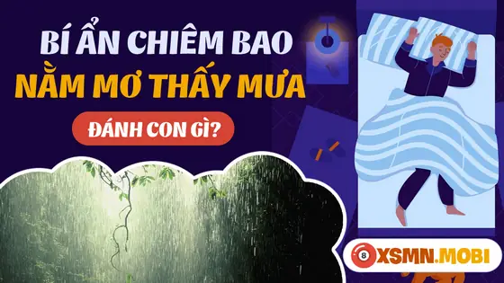 Một Số Giấc Chiêm Bao Về Mưa Khác Một Số Giấc Chiêm Bao Về Mưa Khác