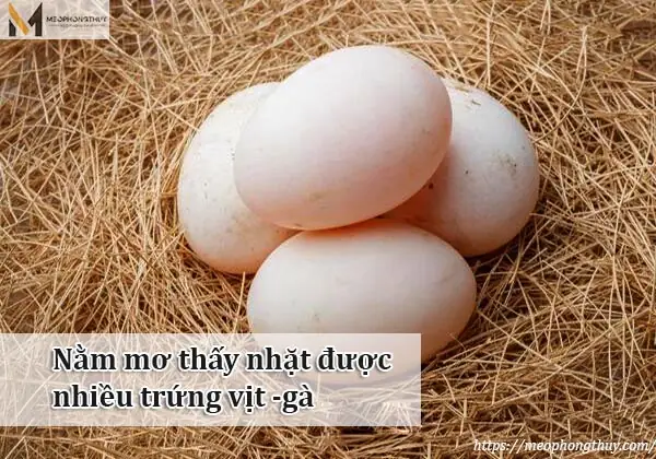 Nằm Mơ Thấy Trứng Gà Đánh Số May