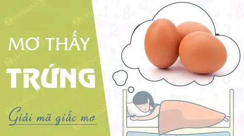 Nằm Mơ Thấy Trứng Ngỗng Đánh Con Gì? Giải Mã Giấc Mơ Và Gợi Ý Lô Đề