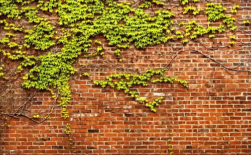 Mơ Thấy Bức Tường Có Đáng Sợ Không? Chọn Số Nào Dễ Rước Vàng ...