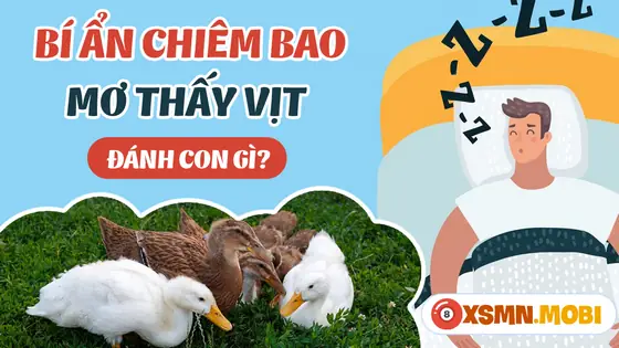 Một Số Giấc Chiêm Bao Về Con Vịt Khác