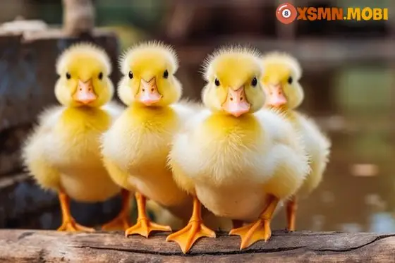 - Mơ Thấy Bán Trứng Vịt Lộn