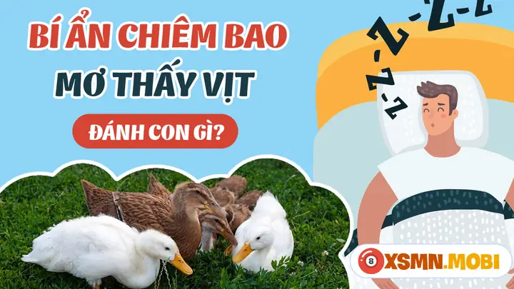 Mơ Thấy Vịt Đánh Con Gì? - Giải Mã Chiêm Bao Thấy Con Vịt