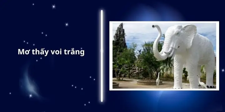 Mơ Thấy Voi Trắng