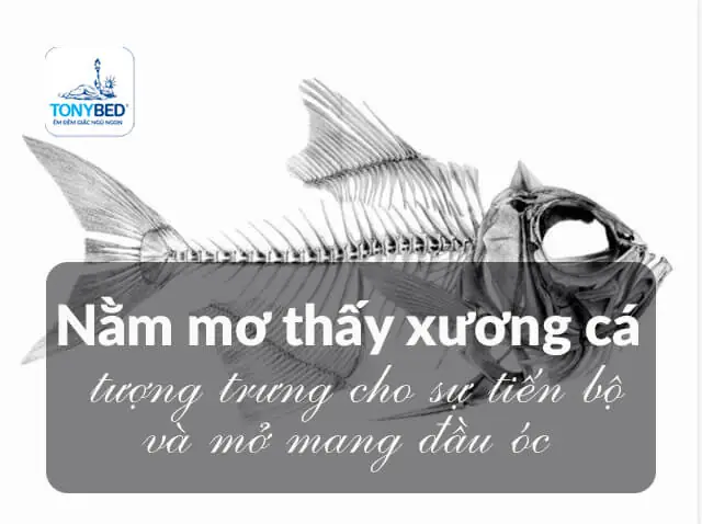 Nằm Mơ Thấy Xương Heo: Giải Mã Điềm Báo Và Ý Nghĩa Sâu Sắc
