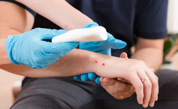 Nằm Ngủ Mơ Thấy Rắn Là Điềm Báo Gi