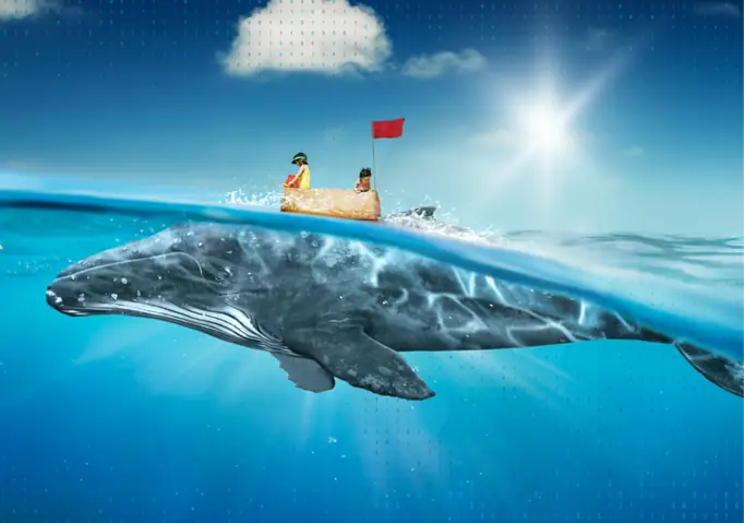 Giải Mã Chi Tiết Giấc Mơ Ngủ Mơ Bắt Được 2 Con Cá