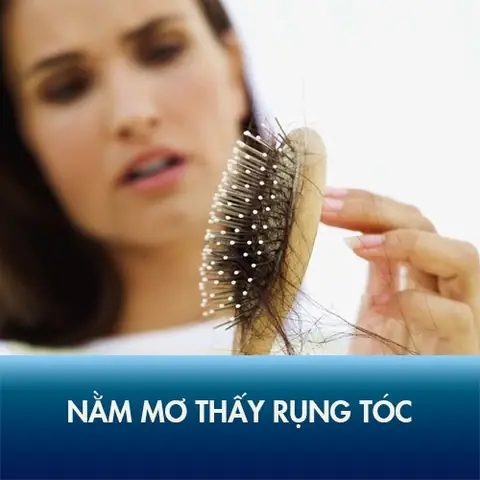 Chuyện Tâm Linh Nằm Mơ Thấy Cắt Tóc, Rụng Tóc Không Nên Đùa Chuyện Tâm Linh Nằm Mơ Thấy Cắt Tóc, Rụng Tóc Không Nên Đùa