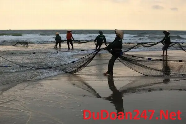 Mơ Thấy Bắt Cá Đánh Con Gì
