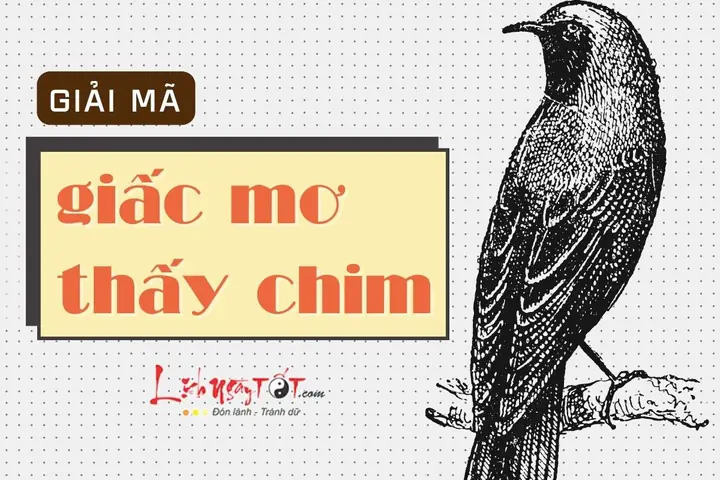 Giai Ma Giac Mo Thay Chim