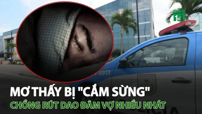 Mơ Thấy Đi Qua Cầu Gỗ: Giải Mã Ý Nghĩa Giấc Mơ Chi Tiết