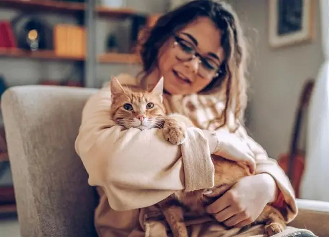 Mơ Thấy Mèo Hoạt Động