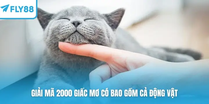 Mơ Về Động Vật