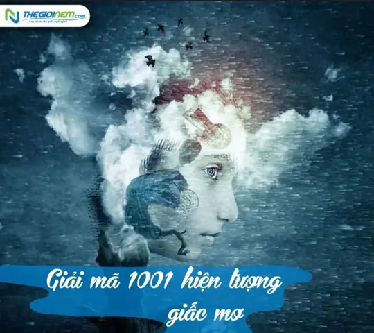 Giải Mã 1001 Hiện Tượng Về Giấc Mơ