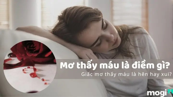 Giải Mã Giấc Mơ Thấy Máu: Điềm Lành Hay Điềm Xấu?