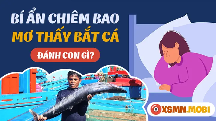 Mơ Thấy Bắt Cá Đánh Số Gì - Chiêm Bao Thấy Bắt Cá Hên Hay Xui?