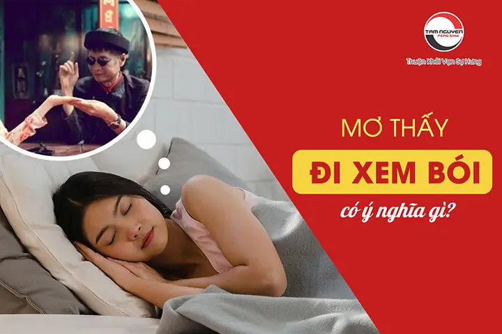 Mơ Thấy Đi Xem Bói Có Ý Nghĩa Gì?
