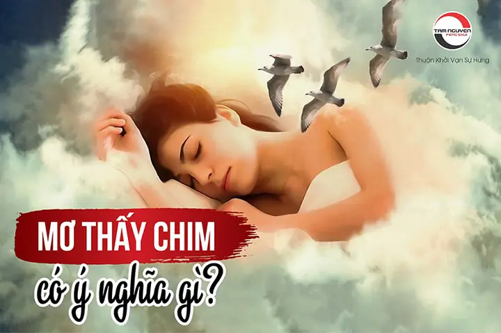 Mơ Thấy Con Chim Có Ý Nghĩa Gì?