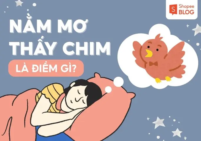 Nằm Mơ Thấy Chim Giải Mã 2026 Điềm Báo Và Con Số May Mắn
