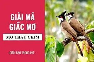 Mơ Thấy Chim Là Điềm Lành Hay Dữ