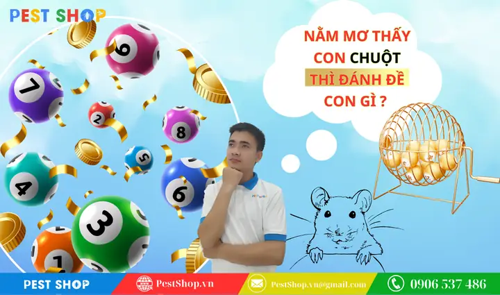 Năm Mơ Thấy Con Chuột Thì Đánh Đề Con Gì? Số Nào Ăn?