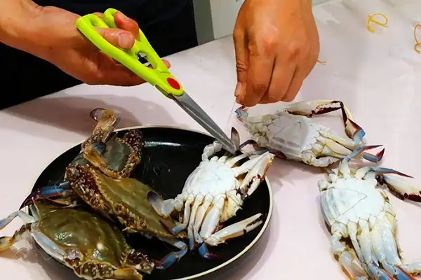 Nằm Mơ Thấy Bắt Ghẹ Biển