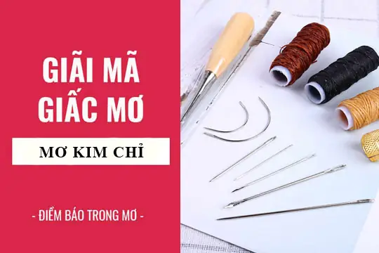 Giải Mã Giấc Mơ: Nằm Mơ Thấy Kim, Chỉ Điềm Báo Gì, Lành Hay Dữ ...