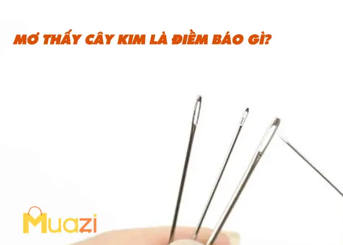 Nằm Ngủ Mơ Thấy Cây Kim Là Điềm Báo Gì? Hên Hay Xui? - Muazi ...