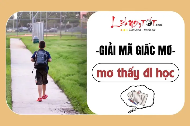 Giải Mã Giấc Mơ Thấy Đi Học: Điềm Báo Cho Điều Gì? Con Số Nào?