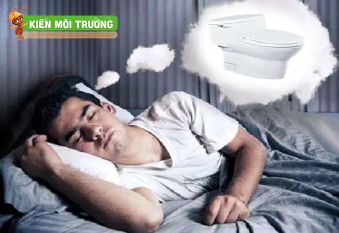 Mơ Thấy Nhà Vệ Sinh: Giải Mã Con Số Và Điềm Báo Liên Quan