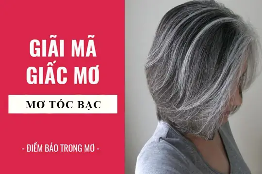 Giải Mã Giấc Mơ: Nằm Mơ Thấy Tóc Bạc Điềm Báo Gì, Lành Hay Dữ ...