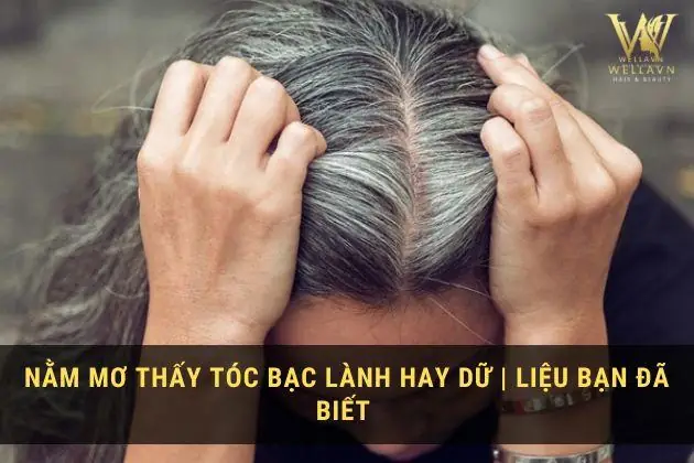 Nằm Mơ Thấy Tóc Bạc Lành Hay Dữ | Liệu Bạn Đã Biết ?