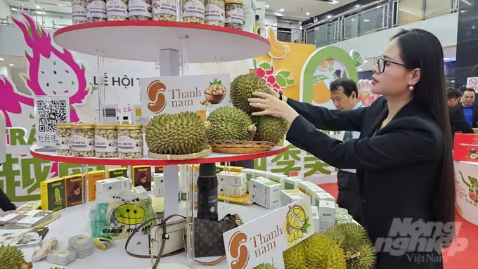 Nằm Mơ Thấy Cây Sầu Riêng: Giải Mã Điềm Báo Tốt Xấu Chi Tiết