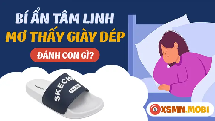 Mơ Thấy Dép Đánh Con Gì? - Giải Mã Chiêm Bao Thấy Giầy Dép Mơ Thấy Dép Đánh Con Gì? - Giải Mã Chiêm Bao Thấy Giầy Dép